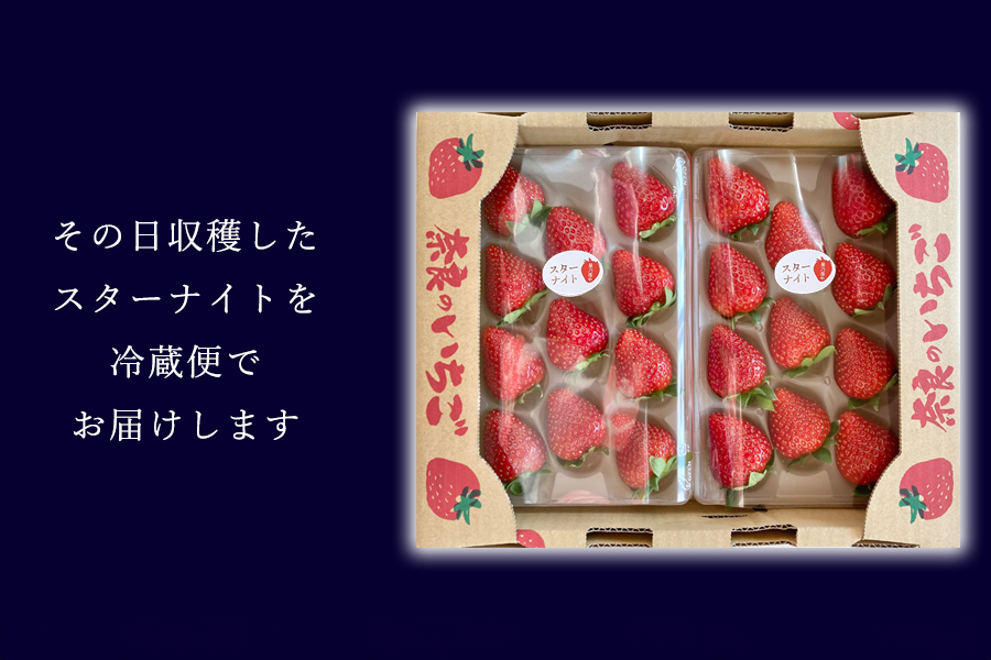 【先行予約】【スターナイト】2パック 2026年4月発送// 苺 いちご イチゴ ストロベリー スターナイト 奈良 奈良県 広陵町 生産者直送  直送 厳選 数量限定 旬 フルーツ 甘い 完熟 果物