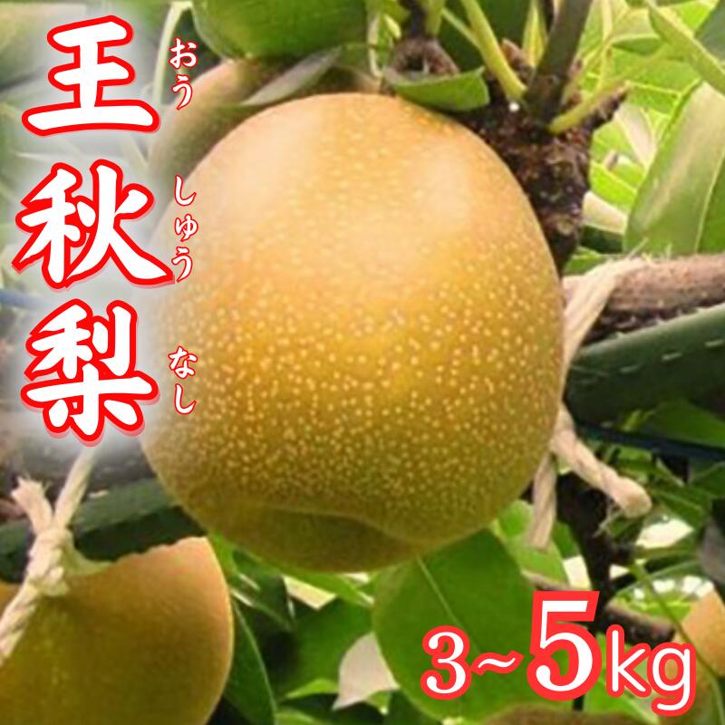 【ふるさと納税】【先行予約】王秋梨 3～5kg｜鳥取 梨 なし フルーツ 果物