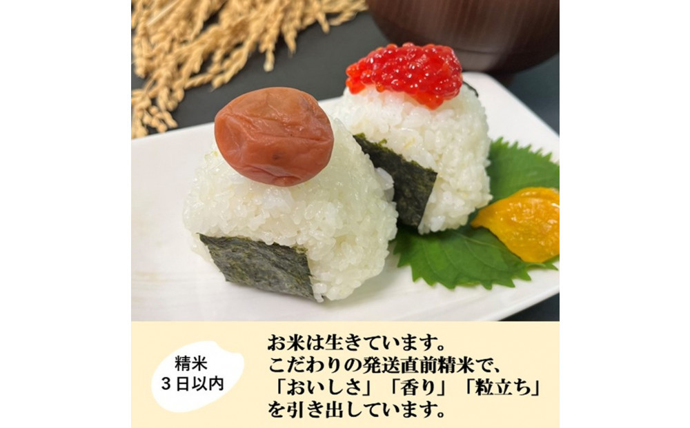 【令和8年産】【日本農業賞大賞】ひゃくまん穀9kg(4.5kg×2袋)精白米 能美市 お米 精米銘柄米 精米したて 一等米