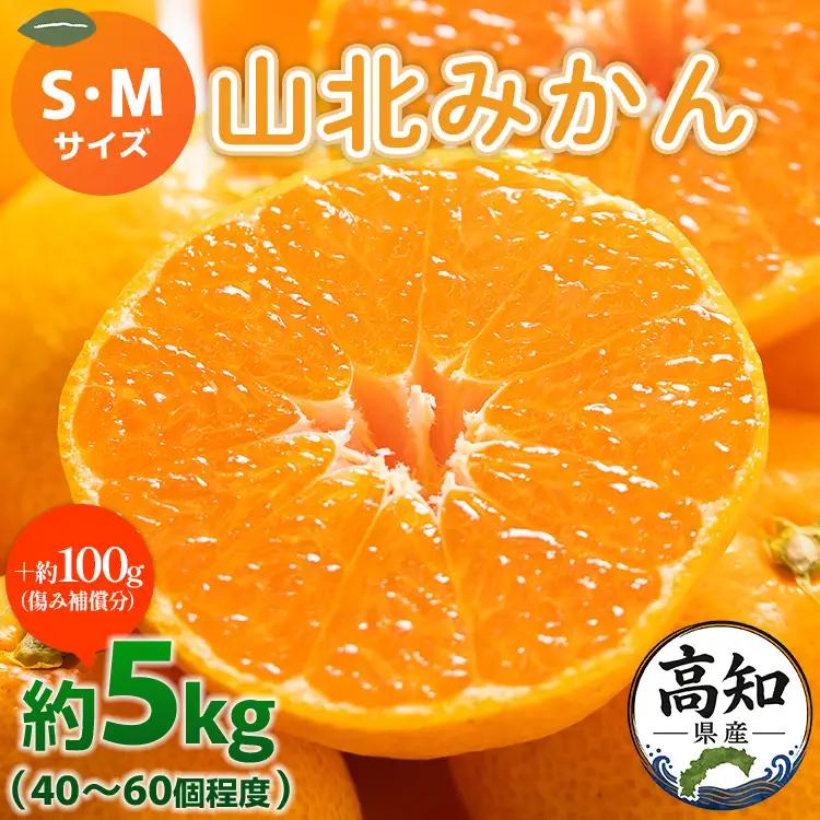 【特産フルーツ】山北みかん(秀品) 約5kg フルーツ yk-0062