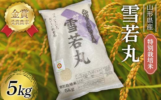 【先行予約】 令和8年産 特別栽培米 雪若丸 5kg F2Y-4671