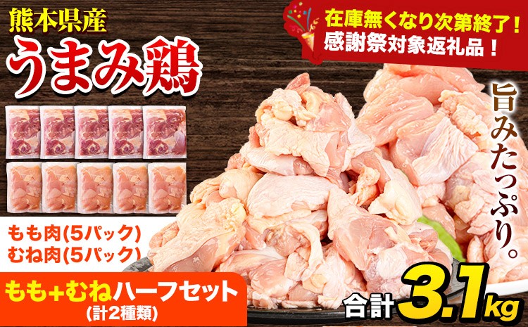 
            【チョイス限定】鶏肉 うまみ鶏ハーフ3.1㎏（ムネ×５・もも×５） 若鶏 冷凍 小分け《7-14日以内に出荷（土日祝除く)》鶏肉 モモ肉 鶏モモ 鶏ムネ ムネ肉 鶏肉 モモ肉 訳ありムネ肉 冷凍 冷凍鶏肉 冷凍モモ肉 冷凍ムネ肉 国産 国産鶏肉 国産モモ肉 国産ムネ肉 九州産 九州産鶏肉
          