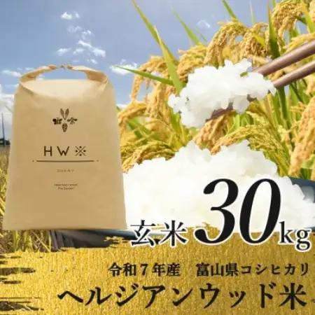 【令和7年産】玄米 ヘルジアンウッド米 30kg　富山県産コシヒカリ【1726417】