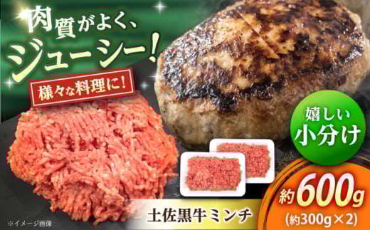 高知 土佐黒牛ミンチ 約600g（約300g×2パック） / 高知県 土佐 和牛 お肉 牛肉 牛 ミンチ 贈答 ギフト 贅沢 　【焼肉寛十郎】 [ATDO006]