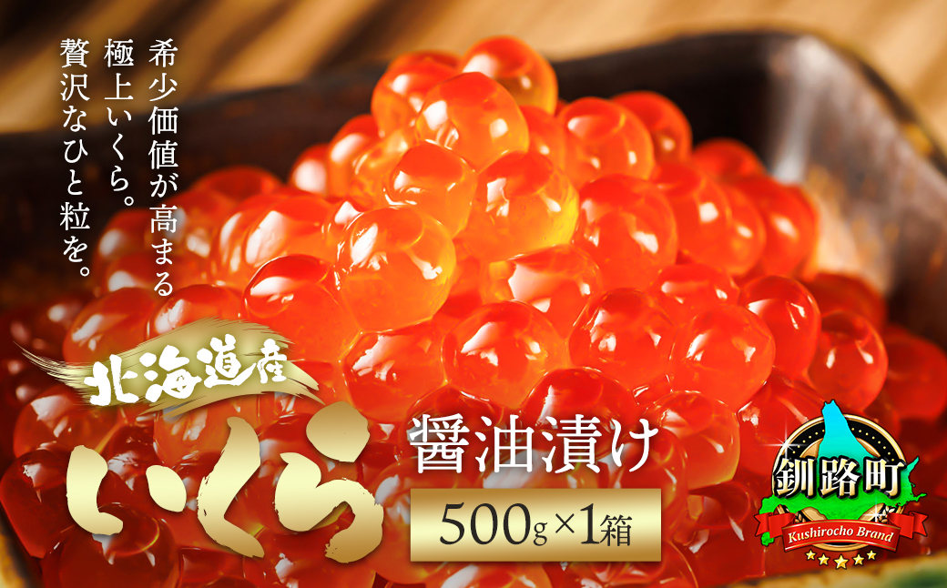 いくら醤油漬け 500g ×1個 ＜北海道産の鮭卵＞【配送不可地域：離島】