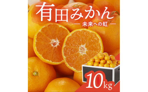 有田みかん「未来への虹」（10kg）｜ 果物 みかん 蜜柑 ミカン 果実 フルーツ 旬 和歌山県 有田市 (A2-2)