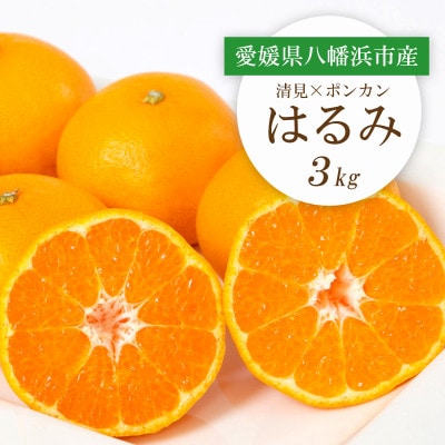【2026年2月より順次発送】愛媛県八幡浜市産 はるみ3kg【C25−208】【1612537】