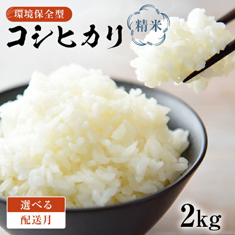 【ふるさと納税】【配送月が選べる】環境保全型コシヒカリ 白米 2kg 【2024年産】 千葉県 南房総市 米 お米 ご飯 おにぎり ブランド米 米作り 離乳食 食品 食事 精米 自然 朝ご飯 夜ご飯 お昼ご飯 お取り寄せ グルメ 送料無料