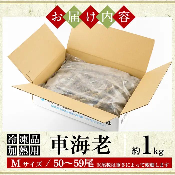 B-136-C ＜数量限定＞冷凍 車えび 約1kg Mサイズ(50尾～59尾・加熱用)【MBC開発】霧島市 冷凍 エビ えび 海老 車海老 くるまえび 加熱用 エビフライ 天ぷら おかず BBQ バー