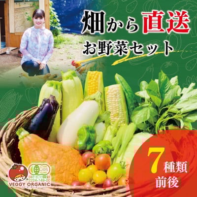 
            群馬県太田市産 季節のオーガニック有機野菜　7点前後の詰め合わせ【1178623】
          