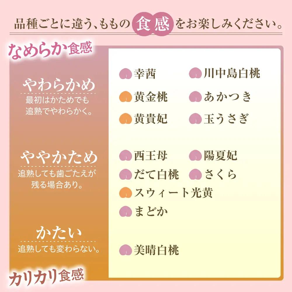 もも 9月 旬 の 白桃 5kg 山形 桃