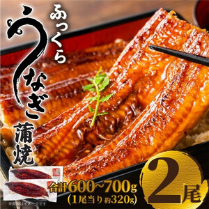 ふっくら大判うなぎ蒲焼　計約640ｇ（約320g×2尾）