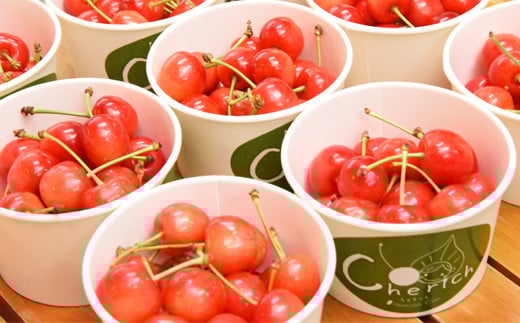 08-10-013　さくらんぼ(佐藤錦)ちぇりっち120g×4
