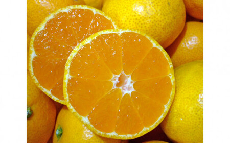 有田みかんの酒(ワイン)2本セット(B417-1)