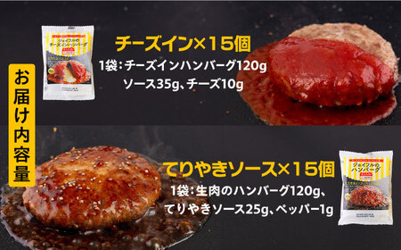 ジョイフル ハンバーグ スペシャル 詰め合わせ 2種 30個 セット《築上町》【株式会社　ジョイフル】[ABAA071]