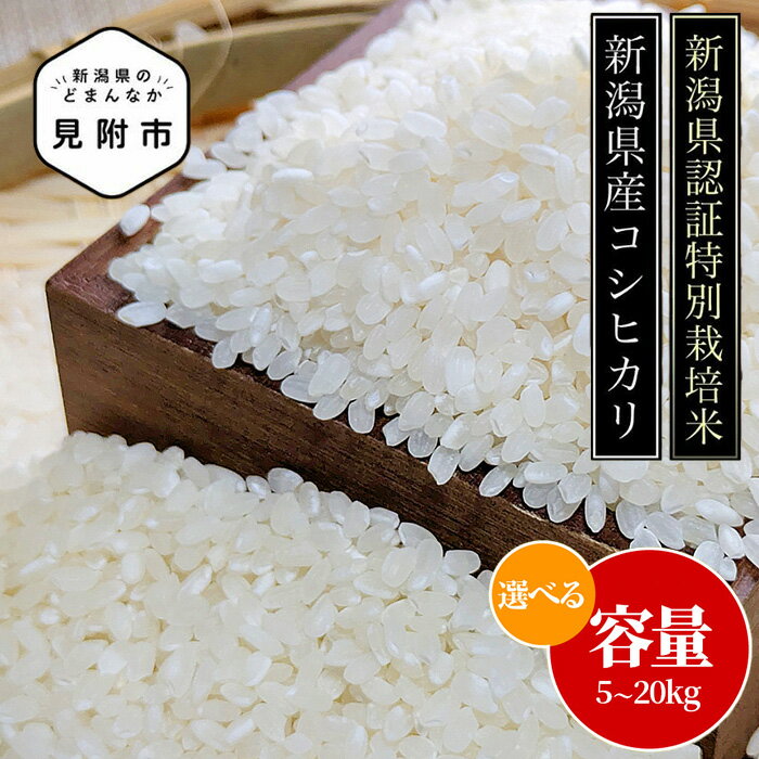 【ふるさと納税】 米 5kg 10kg 20kg 新潟 県産 こしひかり 特別栽培米 令和7年産 コシヒカリ 「鳥屋脇町生産組合コシヒカリ」 精米 したてを お届け 新潟 のど真ん中 見附市 こしひかり おすすめ 5キロ 白米 国産 ごはん ご飯 県認証米 安心安全 送料無料 見附 見附市