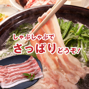 宮崎県産豚肉バラしゃぶ1.2㎏セット_K65_0012_1