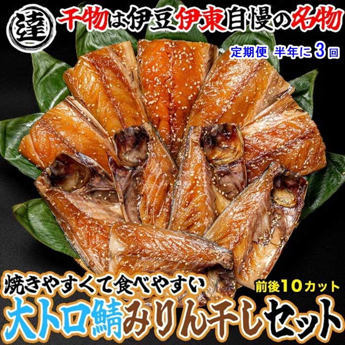 G3*【ふるさと納税】【定期便 全3回】伊豆・伊東 丸達水産 人気No.1 さばみりん 10切セット 食べやすいハーフカット 半年に3回