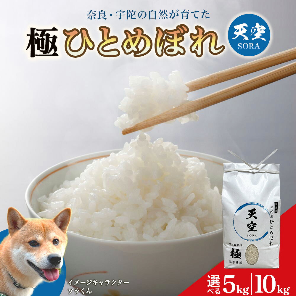 【ふるさと納税】令和8年産 宇陀の自然が育てた 天空【sora】極 ひとめぼれ 5kg・10kg 特別栽培米 / 令和8年産 ひとめぼれ 米 こめ お米 お取り寄せ 美味しい オススメ 精米済 新米 白米 奈良 宇陀