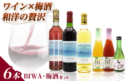 BIWA・梅酒セット 栗東市 太田酒造 BIAC012 梅酒