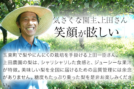 梨 玉東梨 約5kg 先行予約 上田農園 熊本県産 梨