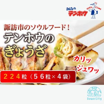 ふるさと納税 諏訪市 テンホウのぎょうざ56ケ入り4袋
