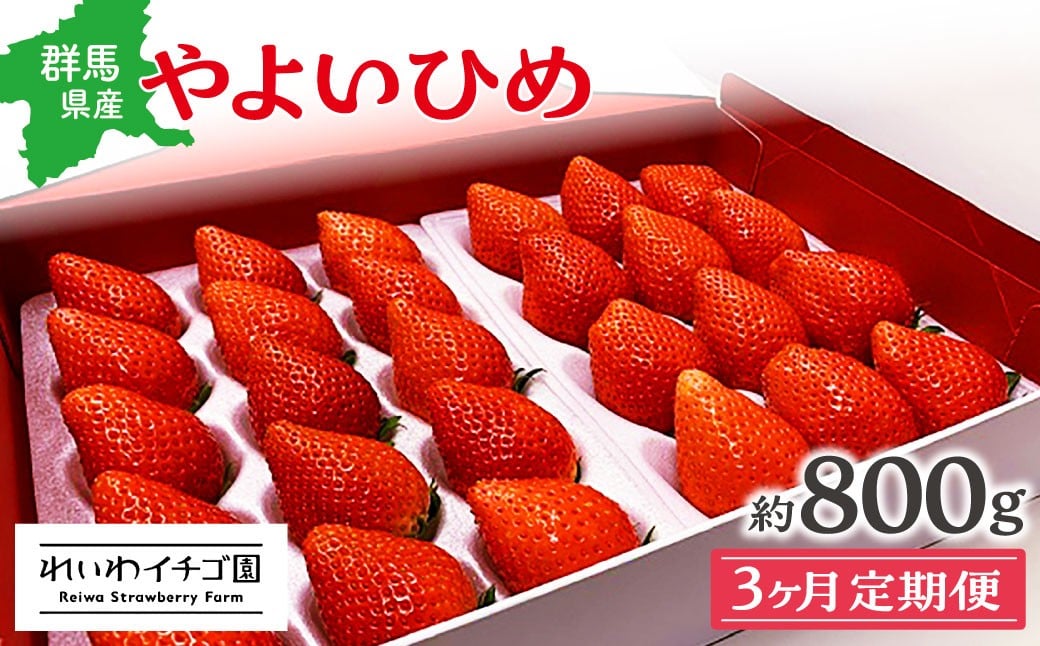 
            【2026年 先行予約】【3カ月定期便】 やよいひめ いちご 800g×3回 2月～4月発送  | 朝採れ やよいひめ たっぷり 贈答用 新鮮 特大 完熟 いちご 旬 苺 ストロベリー 高級 産地直送 果汁 甘い あまい 人気 高評価 減農薬 有機肥料 生産 生産量 産地 王国 高糖度 エコファーマー ごほうび プレゼント 群馬県 前橋市 
          
