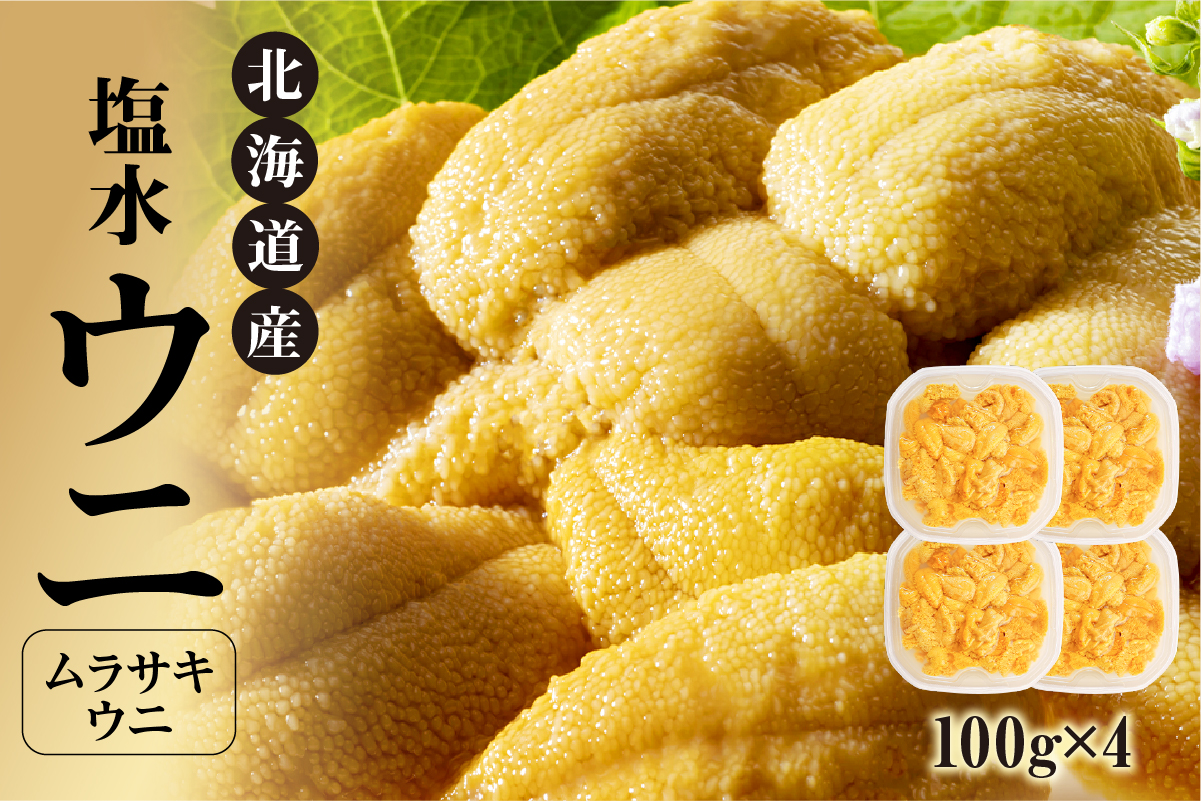 【先行予約：2025年4月末以降順次発送】北海道産　世壱屋塩水ウニ（ムラサキウニ）400g_Y038-0145