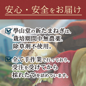 【P69001】＜先行予約受付中！2026年4月上旬以降準備ができ次第順次発送＞畑から台所へ直行便！學山堂の新玉ねぎ(計3kg・12～15個) 新たまねぎ 玉ねぎ 土付き 新鮮 国産 鹿児島県産 産地
