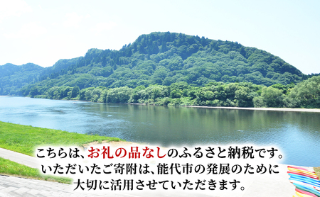【返礼品なし】秋田県能代市への寄付 応援 支援 寄附のみ 100,000円【能代市ふるさと納税】