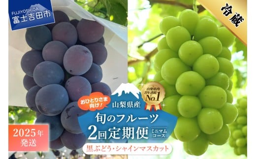 【2025年発送】【2回定期便】厳選 旬のフルーツ定期便（黒ぶどう1房・シャインマスカット1房）　シャイン マスカット 黒ブドウ ぶどう 果物 おひとりさま 贅沢 ミニマム 定期便2回 フルーツ 山梨 富士吉田市
