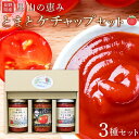 【ふるさと納税】里山の恵みとまとケチャップセット ｜ 野菜 tomato トマト やさい ケチャップ 調味料 料理 オムライス チキンライス 煮物