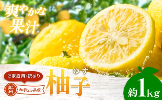 ゆず 国産 ご家庭用 訳あり 紀州 和歌山県産 有田 柚子 約1kg 有田マルシェ《2026年10月末頃-2027年1月下旬頃発送予定》 和歌山県 日高町 ユズ 柑橘 フルーツ ギフト 送料無料