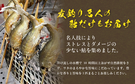予約受付【期間限定】（2025年8月上旬頃から発送）幻の弓掛鮎 5尾セット（総重量 300g以上）【冷凍パック】鮎 あゆ アユ ゆがけ 下呂市 金山 クラブハウス馬瀬川【107-1】