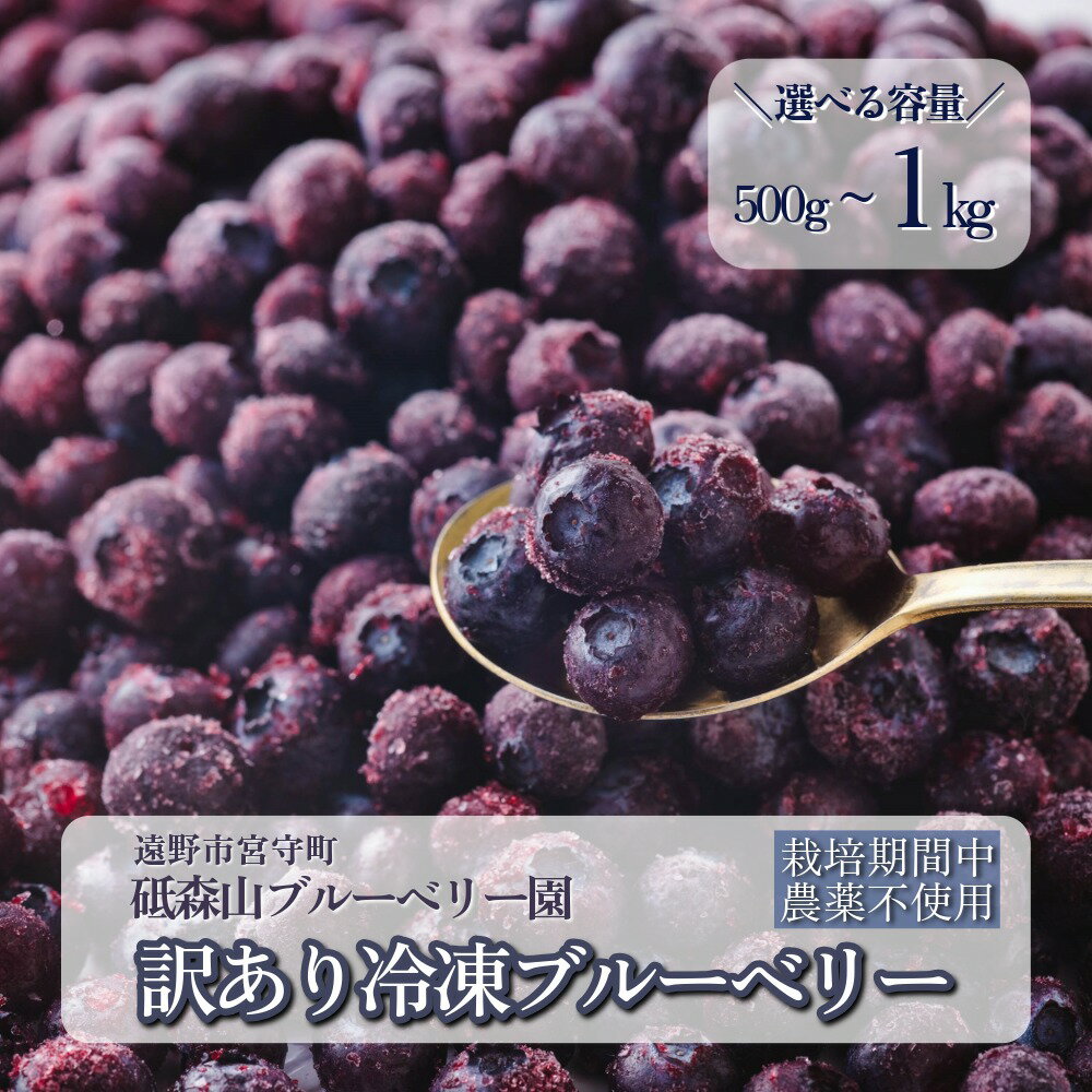 【ふるさと納税】訳あり 冷凍 ブルーベリー 栽培期間中 農薬不使用 無農薬 500g 1kg 選べる 容量 東北 岩手県 遠野市 遠野食工房蔵 砥森山ブルーベリー園生産組合 宮守町 産 果実 果物 くだもの フルーツ 飲料 健康 美容 視力 抗酸化 無選別 加工用 除草剤不使用 送料無料