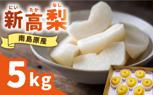 梨【2026年9月中旬～発送】「シャリッと食感がたまらない！」★ 新高梨 5kg (玉数おまかせ) / 梨 なし 新鮮 送料無料 果物 フルーツ おすすめ 人気 くだもの / 南島原市 / ふるさと企画 [SBA012]