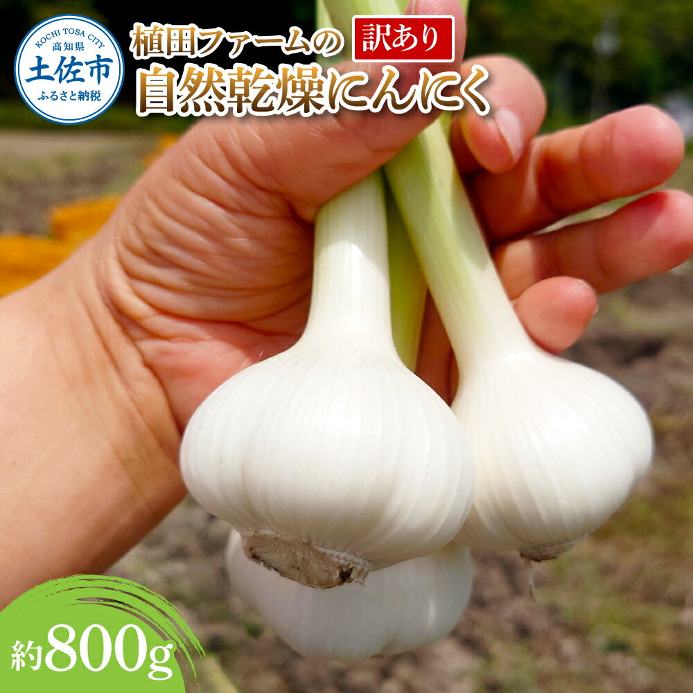 【ふるさと納税】訳あり 植田ファームの自然乾燥にんにく800g 800グラム ニンニク ガーリック お酒 料理 醤油漬け ガーリックオイル ペペロンチーノ パスタ スパゲッティ ワケアリ 家庭用 ご自宅用 常温 冷蔵 配送 高知県 高知 土佐市 ふるさとのうぜい 故郷納税 返礼品