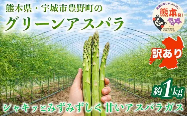  訳あり アスパラガス  約1kg (S～L) 【2026年7月上旬～2026年10月中旬発送予定】