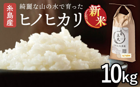 【令和7年産新米】糸島産 ヒノヒカリ 10kg 【2025年10月中旬以降順次発送】糸島市 / 糸島王丸農園 (谷口汰一)【いとしまごころ】 [AAZ014] 白米 白米 白米 白米 白米 白米 白米 