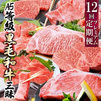 定期便(12回)鹿児島県産A5等級黒毛和牛三昧 JJ-0017_定期便 肉 お肉 黒毛和牛 A5 牛肉 霜降り シャトーブリアン ヒレ 切り落とし サーロイン ステーキ 焼肉 すき焼き しゃぶしゃぶ ギフト 鹿児島県 枕崎 送料無料【1166761】