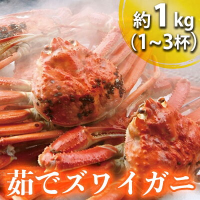 【ふるさと納税】蟹 茹で 約1kg ズワイガニ 脚折れ含む カニ かに ずわいがに ズワイガニセット ボイル 魚介 魚介類 海鮮 海鮮セット 急速冷凍 ボイルカニ 福井県若狭町 福井 ギフト 贈り物 お取り寄せ グルメ　お届け：2026年11月10日～2027年3月31日（年末年始を除く）