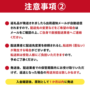 しなやかハンガー8P　【0007-026】岐阜県 可児市 ステンレス アイデア 便利 簡単 耐久性 新生活 洗濯 家事 純日本製 国産 シンプル  生活雑貨 丈夫 長持ち 強風対策 洗濯グッズ 超軽量