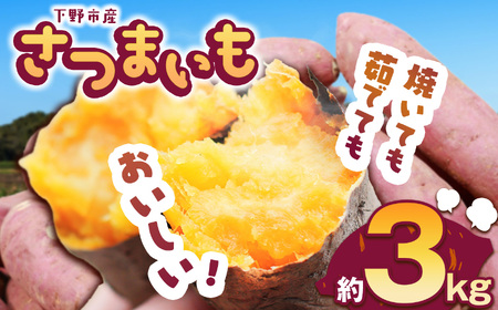 【先行予約】下野市産さつまいも 3kg  | 栃木県 下野市