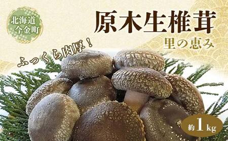 北海道産 原木生椎茸 里の恵 1kg しいたけ  きのこ キノコ 野菜 食品 北海道 今金町 F21W-092