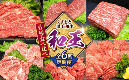【全6回定期便】 熊本県産 A5等級 黒毛和牛 和王 食べ比べ 牛肉 和牛 国産【帝神志方ミート 株式会社】[AYCH057]