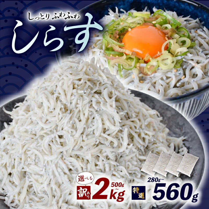 【ふるさと納税】 鮮度抜群 釜揚げしらす 280g ~ 2kg 小分け しらす 冷凍 大容量 惣菜 魚介類 魚介類 海鮮 減塩 塩分控えめ わけあり 小魚 魚 鮮魚 個包装 グルメ 人気 海の幸 高知県産 ちりめん しらすご飯 国産 人気 選べる 訳あり 特選 容量 500g 1kg 安芸市 高知県