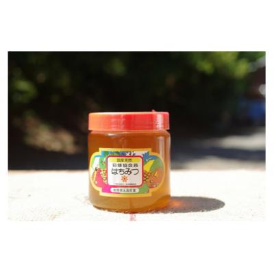 ふるさと納税 太良町 太良町産はちみつ(百花蜜) 600g　N226