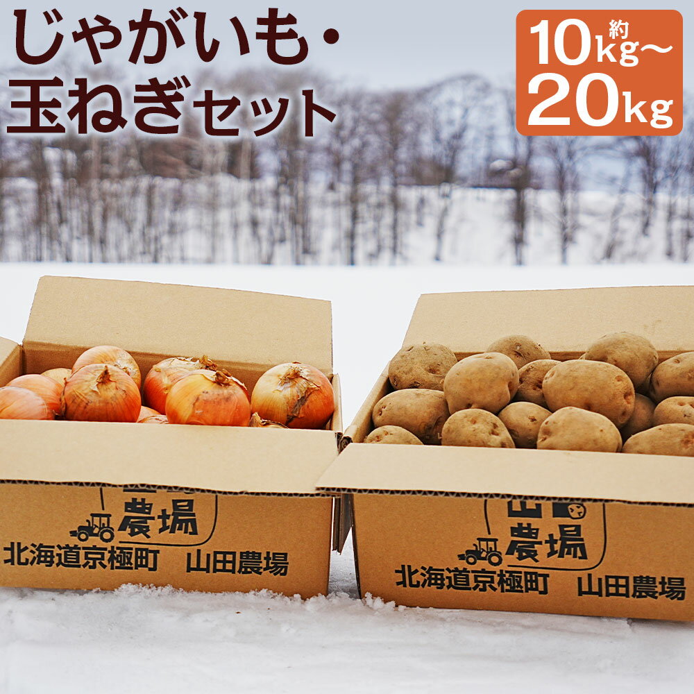 【ふるさと納税】北海道産じゃがいも・玉ねぎセット 男爵/キタアカリ 約10kg/約20kg 選べるじゃがいもの種類 選べる内容量 M～2Lサイズ混載 じゃがいも 玉ねぎ 芋 野菜 山田農場 京極町産 北海道産 国産 送料無料【2025年10月上旬～2026年3月上旬に順次発送予定】