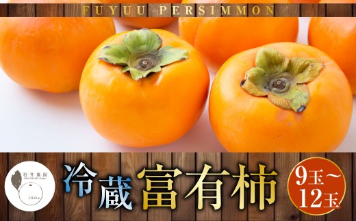 【ふるさと納税】石井農園 冷蔵富有柿 9玉から12玉　2026年12月中旬から出荷予定 柿 かき カキ フルーツ 果実 果物 冷蔵 送料無料 福岡県 うきは市