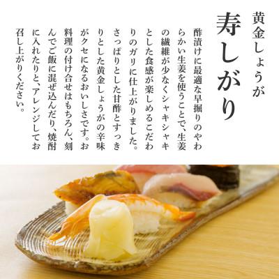 ふるさと納税 芸西村 国産黄金しょうが寿しがり　1kg×3袋 |  | 02